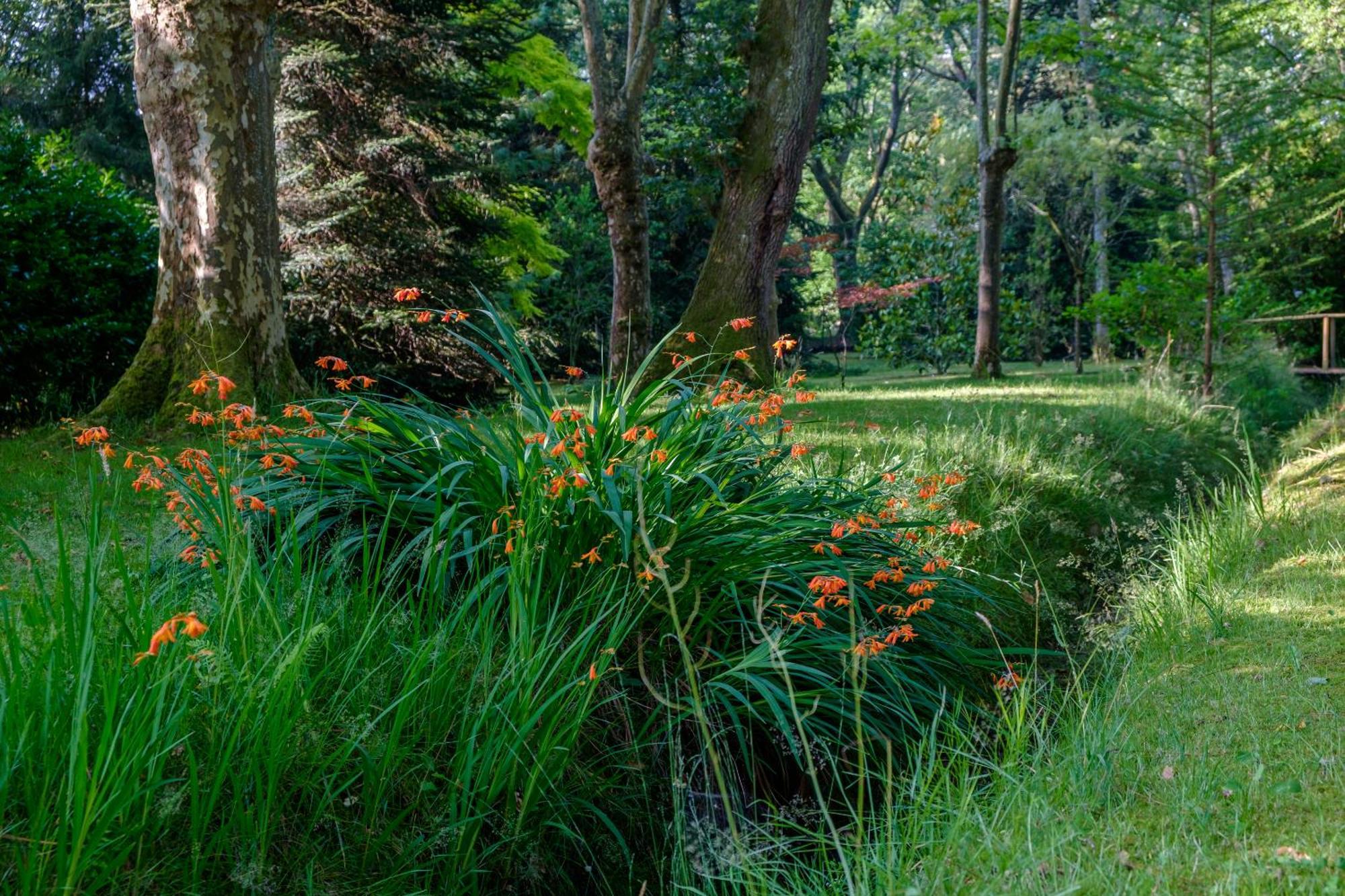 Parc De L'Aiguade Bed & Breakfast Saint-Paul-lès-Dax Eksteriør bilde