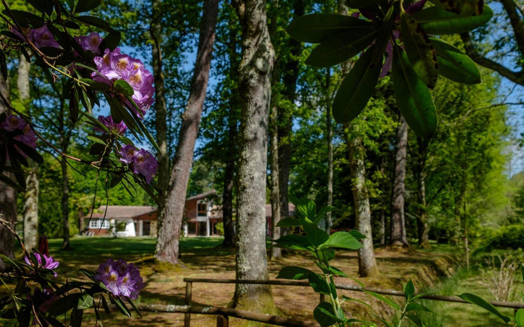 Parc De L'Aiguade Bed & Breakfast Saint-Paul-lès-Dax Eksteriør bilde