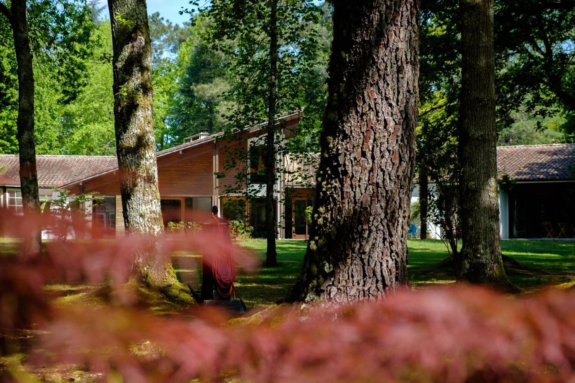 Parc De L'Aiguade Bed & Breakfast Saint-Paul-lès-Dax Eksteriør bilde