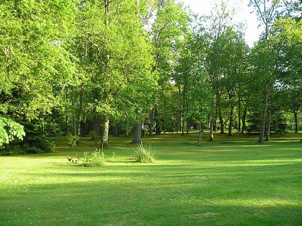 Parc De L'Aiguade Bed & Breakfast Saint-Paul-lès-Dax Rom bilde